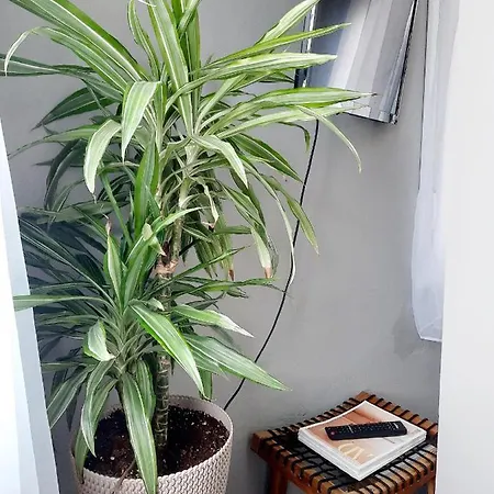 公寓 House Of Whales, Con Vistas Al Mar En Caion *