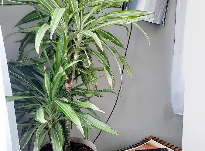 Διαμέρισμα House Of Whales, Con Vistas Al Mar En Caion *